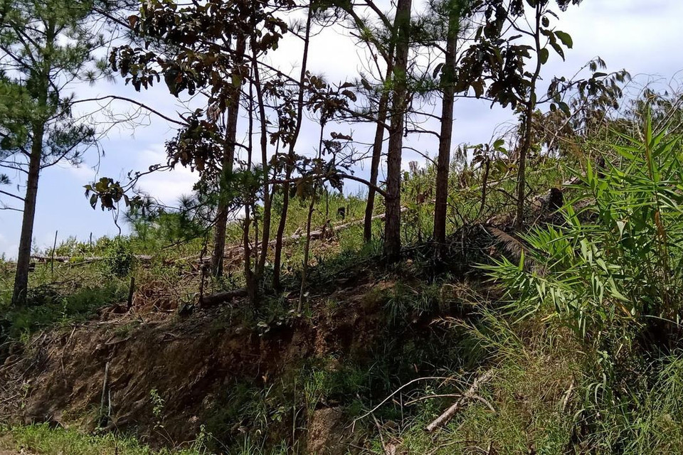 (Ảnh: Đặng Tuấn/TTXVN)