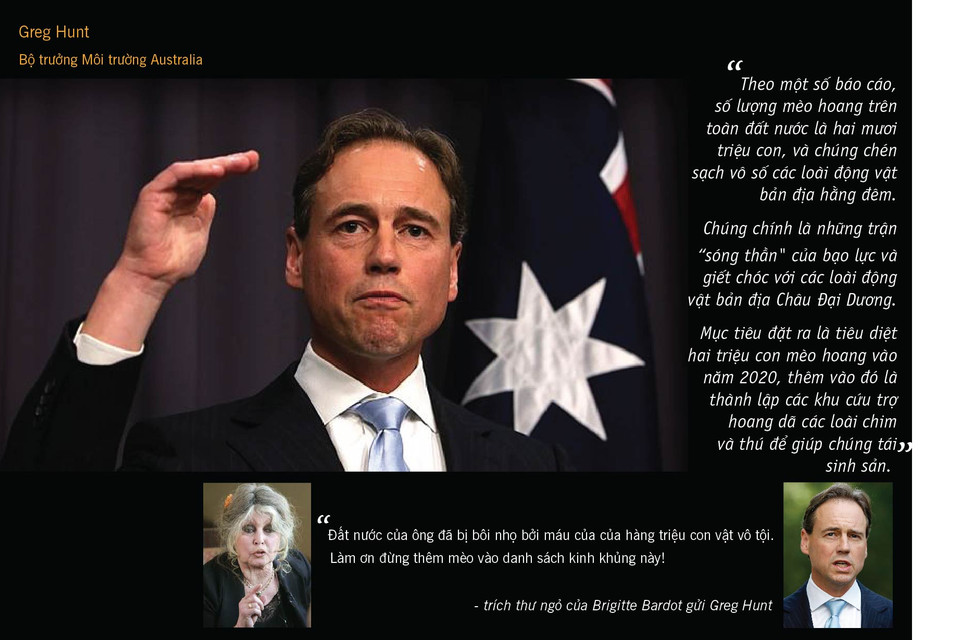 Mèo hoang đã được xác định là thủ phạm chính gây ra tỷ lệ tuyệt chủng cao của các động vật có vú ở Australia, với hơn 10% loài đã bị xoá sổ kể từ khi những người châu Âu đầu tiên đặt chân lên châu lục này hai thế kỷ trước. (Nguồn: News Corp Australia)