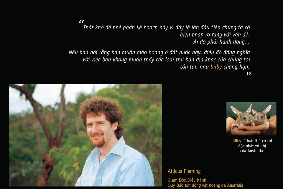 Ông Fleming cho biết thêm: 'Chúng tôi muốn thực hiện theo cách nhân đạo nhất có thể, nhưng việc phải tiêu huỷ tới hai triệu con mèo liệu có là điều cần thiết. Mặc dù tiêu huỷ số lượng mèo hoang bằng mồi có độc là biện pháp mà chính phủ không thể thay đổi, trong tương lai có thể dùng tới những giải pháp về mặt sinh học và di truyền khác.' (Nguồn: abc.net.au)