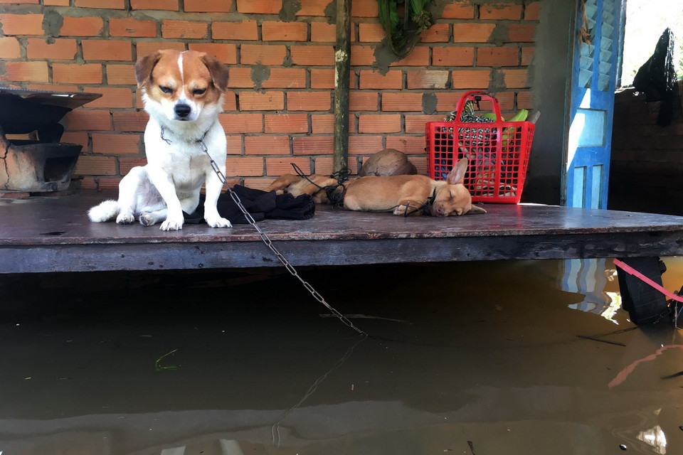 Nhà dân ở khu vực 3, phường Cái Khế bị ngập nặng. (Ảnh: Thanh Liêm/TTXVN)