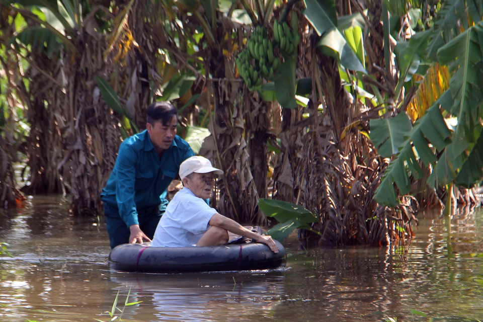 Sơ tán người già ra khỏi khu vực bị ngập nặng. (Ảnh: Thanh Liêm/TTXVN)