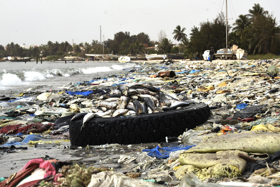 Cá chết trôi dạt vào bờ biển tràn ngập rác thải nhựa tại Hann, Dakar, Senegal ngày 2/6/2018. (Ảnh: AFP/ TTXVN phát)