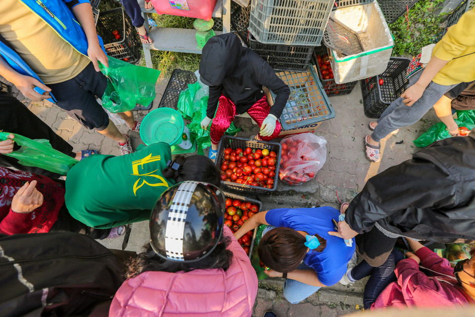 Chị Thuỷ cho hay, là một người con của Hải Dương, khi đọc được lời kêu cứu nông sản của bà con dưới quê, chị đã kết nối với đầu cầu thiện nguyện thu mua nông sản. (Ảnh: Minh Sơn/Vietnam+)