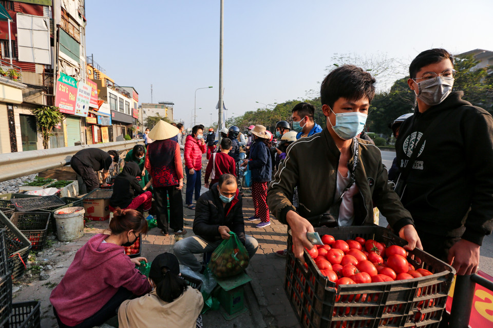 Chị Ngô Thanh Thuỷ (Giải Phóng, Hà Nội) cùng một nhóm thiện nguyện đã đứng ra làm đầu cầu thu mua nông sản. (Ảnh: Minh Sơn/Vietnam+)
