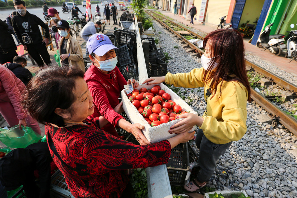 Giá tất cả loại nông sản đều được bán rẻ để ủng hộ người dân vùng dịch: Ổi Thanh Hà chỉ 50 ngàn đồng/10kg, su hào 40 ngàn đồng/20 cái, bắp cải 18 ngàn đồng/5kg, cà rốt 70 ngàn đồng/10kg hay cà chua chỉ có giá 20 ngàn đồng/5kg. (Ảnh: Minh Sơn/Vietnam+)