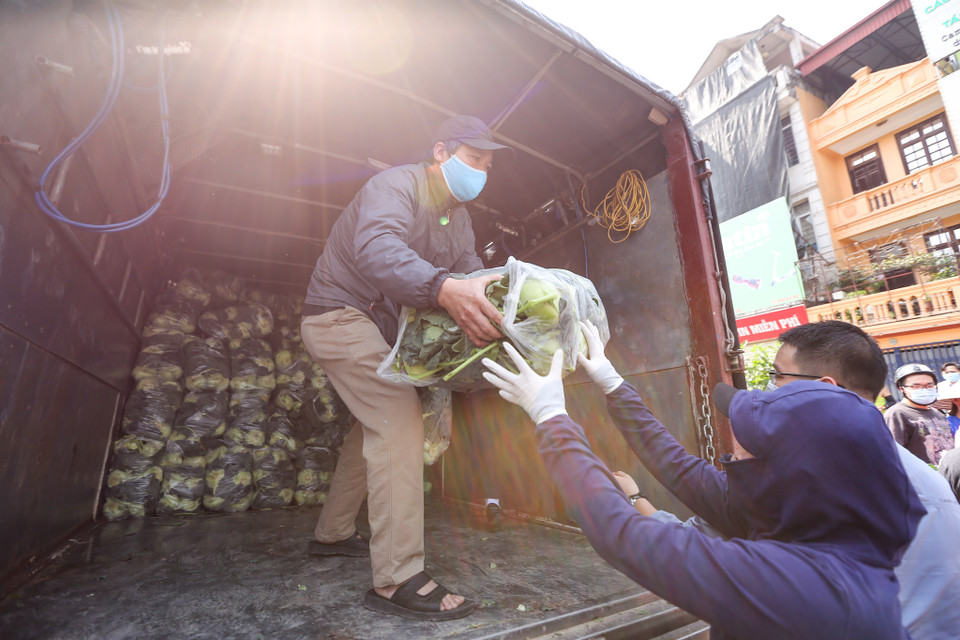 Đến khoảng 12 giờ, một chiếc xe tải chở cả tấn su hào, bắp cải tiếp tục được chuyển đến. (Ảnh: Minh Sơn/Vietnam+)