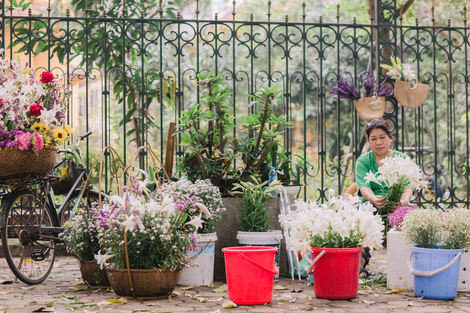 Nhiều người lại thích mua hoa đã nở sẵn để mang đi chụp ảnh. (Ảnh: Minh Sơn/Vietnam+)