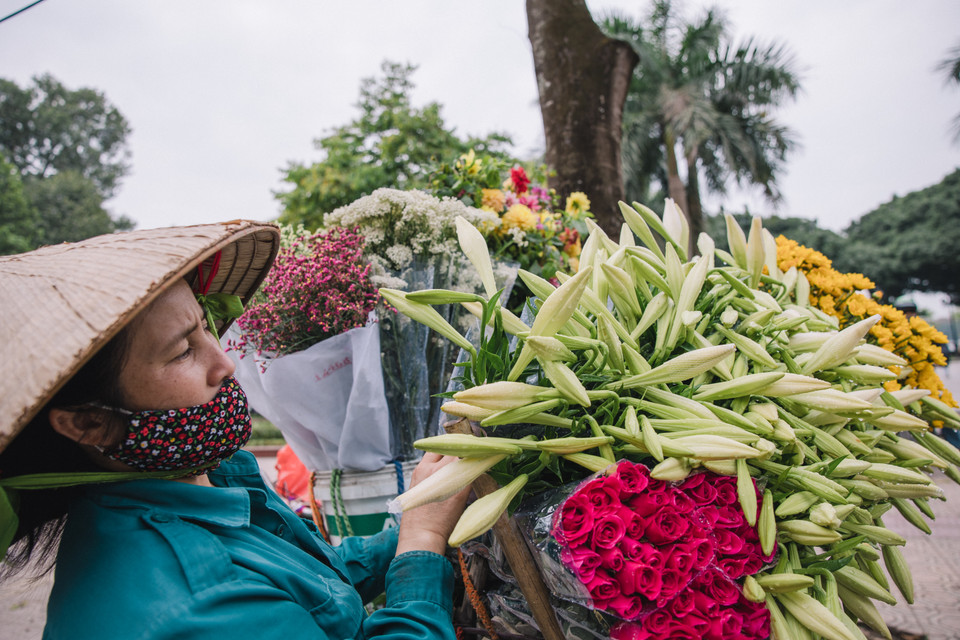 Đây là một loài hoa được người dân Thủ đô yêu thích vì vẻ đẹp, mùi hương rất riêng và có mức giá vừa phải. (Ảnh: Minh Sơn/Vietnam+)