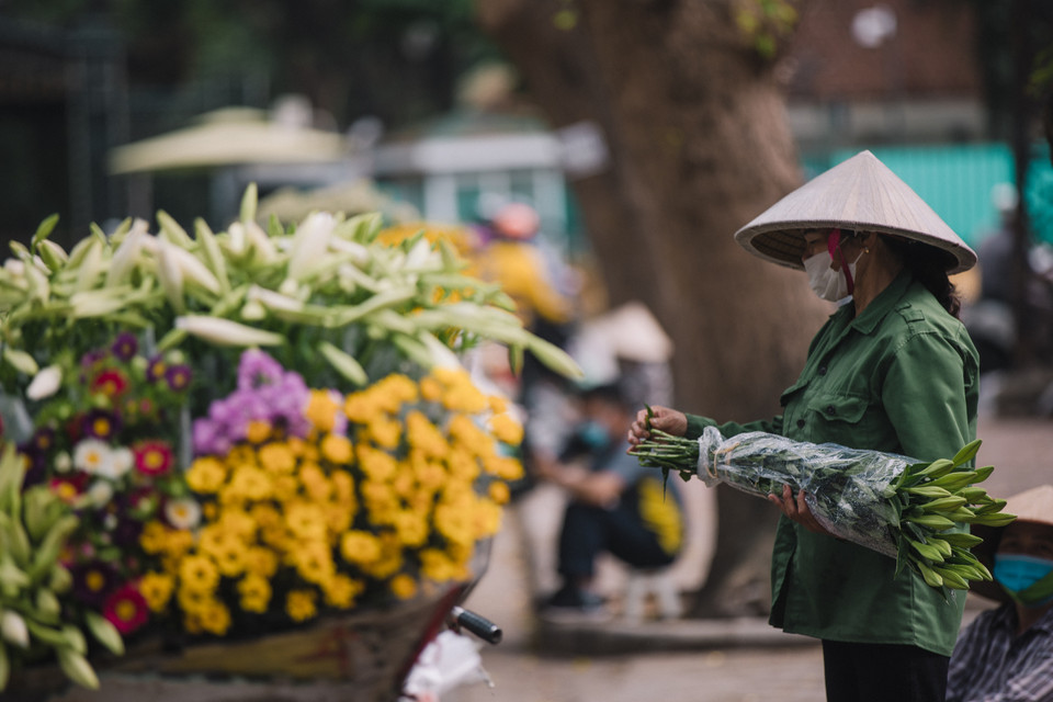 Tuy không rực rỡ, thơm nức như nhiều loài hoa khác, nhưng sắc trắng giản dị lại tạo nên vẻ đẹp tinh khiết rất riêng cho hoa loa kèn. (Ảnh: Minh Sơn/Vietnam+)