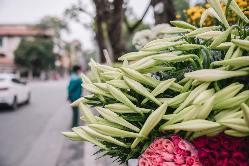 Những bông hoa trắng muốt, tỏa mùi thơm dịu trở thành nét riêng của Hà Nội mỗi dịp tháng Tư về. (Ảnh: Minh Sơn/Vietnam+)
