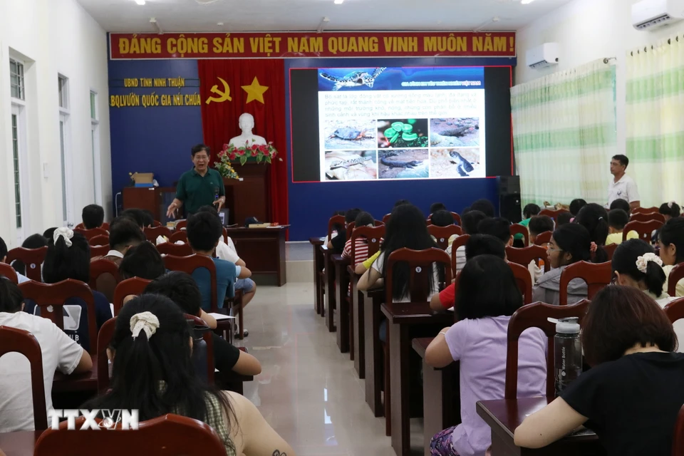 Học sinh tham gia khóa học bảo tồn và cứu hộ rùa biển được Vườn Quốc gia Núi Chúa phối hợp với nhóm Gia đình em yêu thiên nhiên Việt Nam tổ chức. (Ảnh: Nguyễn Thành/TTXVN)