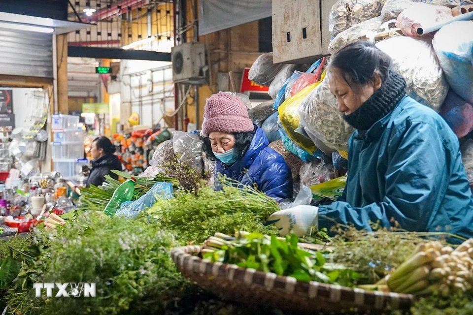 Quầy bán các loại rau gia vị, lá xông trong Chợ Hôm-Đức Viên, Hà Nội. (Ảnh: Khánh Hòa/TTXVN)