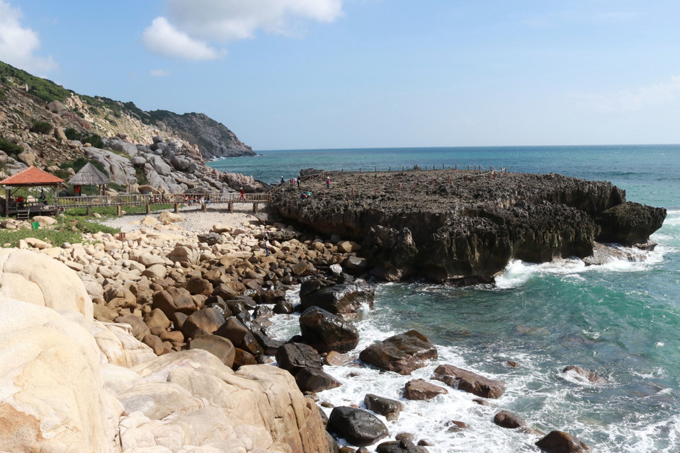  Bãi san hô hóa thạch có tuổi đời hàng triệu năm ở Hang Rái, Vườn quốc gia Núi Chúa. (Ảnh: Nguyễn Thành/TTXVN)