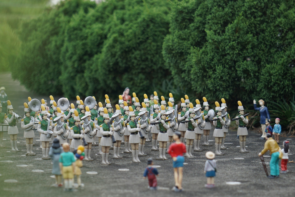 (Ảnh: Trần Long/Vietnam+)