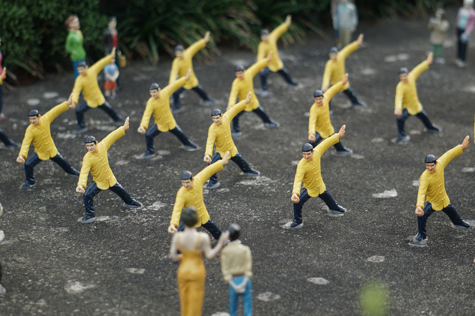 (Ảnh: Trần Long/Vietnam+)