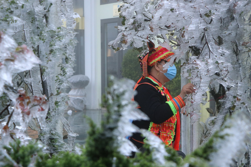 Đỉnh đèo Ô Quý Hồ nơi giáp xã Sơn Bình, huyện Tam Đường (Lai Châu) với thị xã Sa Pa (Lào Cai) xuất hiện băng giá và thu hút đông đảo khách du lịch đến check in. (Ảnh: TTXVN phát.)