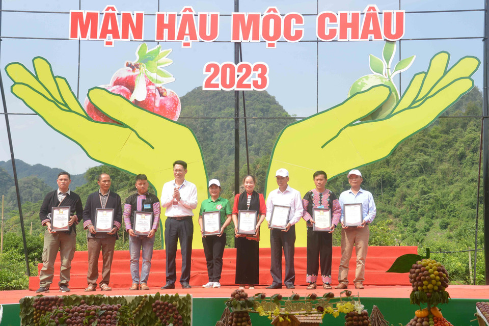 BTC trao Giấy chứng nhận cho các các nhân, hộ gia đình có nhiều đóng góp cho Ngày hội hái quả mận hậu Mộc Châu năm 2023.(Ảnh: Quang Quyết/TTXVN)