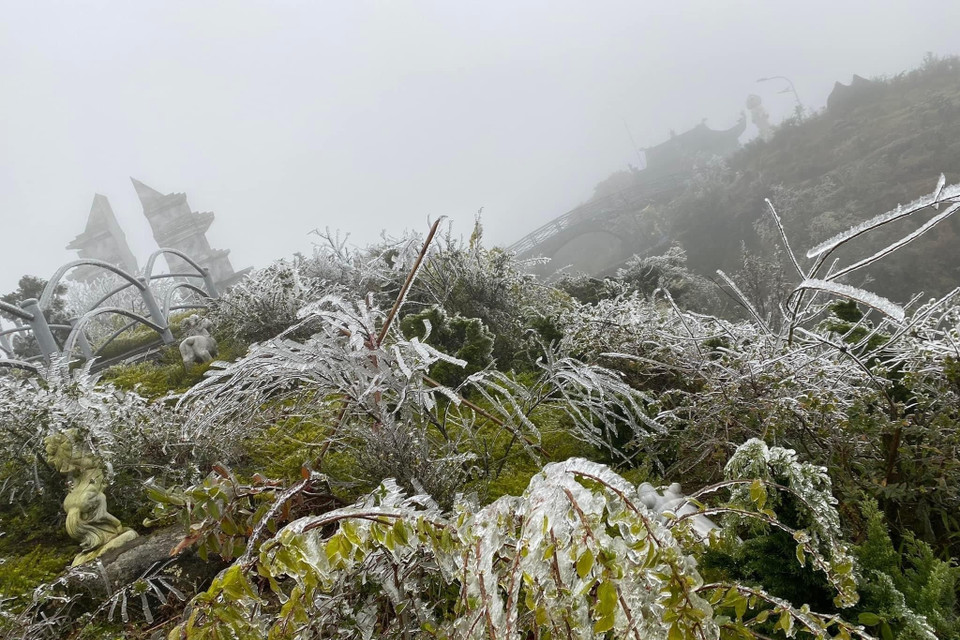 Băng giá xuất hiện dày đặc trên đỉnh Ô Quý Hồ. (Ảnh: Nguyễn Oanh-TTXVN)