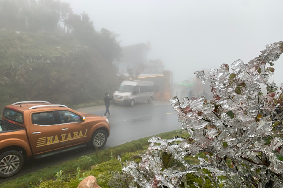 Băng giá xuất hiện dày đặc trên đỉnh Ô Quý Hồ. (Ảnh: Nguyễn Oanh-TTXVN)