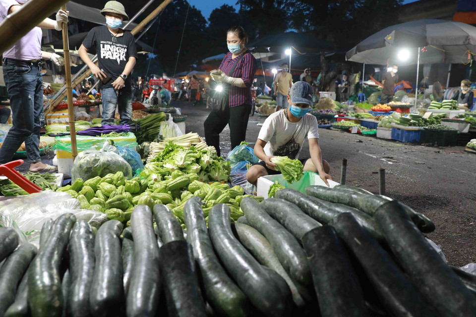 Hoạt động mua bán rau quả tại chợ Nam Hà Nội. (Ảnh: Vũ Sinh/TTXVN)