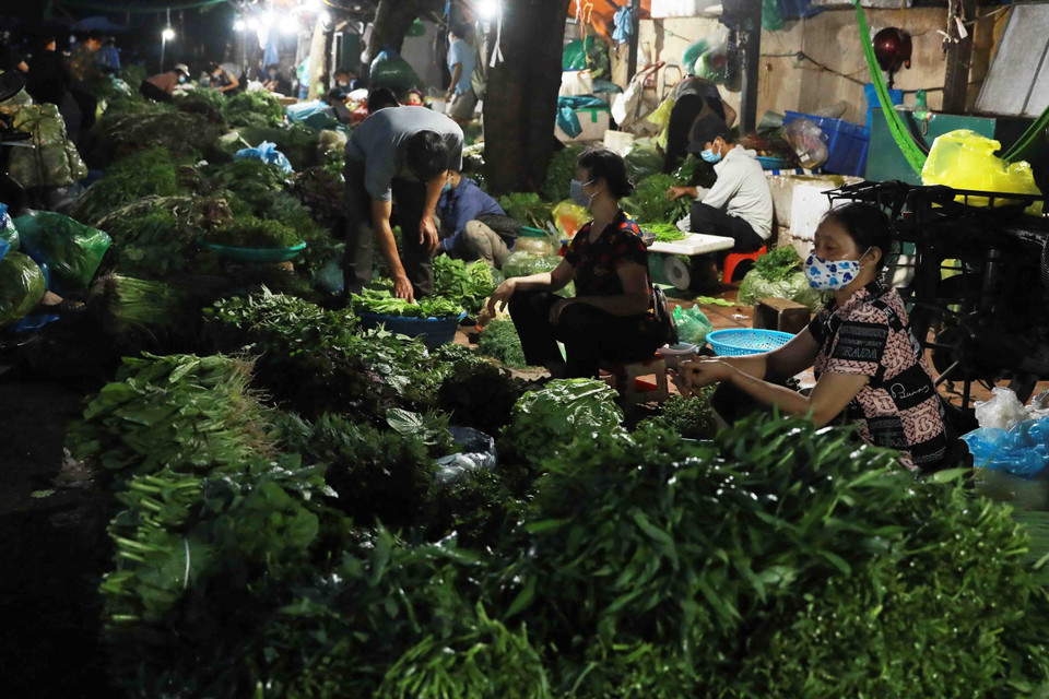 Hoạt động mua bán rau quả tại chợ Nam Hà Nội. (Ảnh: Vũ Sinh/TTXVN)