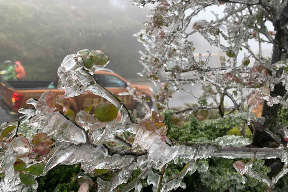 Băng giá xuất hiện dày đặc trên đỉnh Ô Quý Hồ. (Ảnh: Nguyễn Oanh-TTXVN)