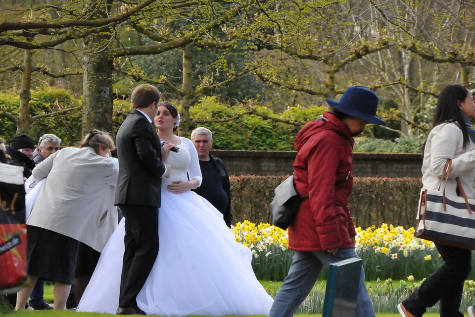 Vườn hoa Keukenhof được các bạn trẻ chọn để chụp ảnh cưới. (Ảnh: Hương Giang/Vietnam+)