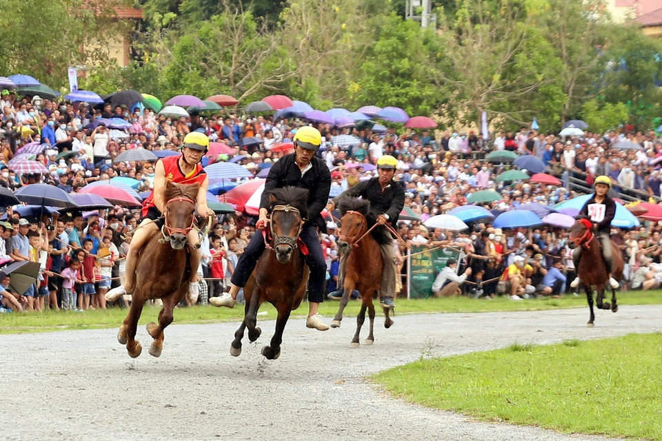 Các nài ngựa tranh tài trên đường đua. (Ảnh: Quốc Khánh/TTXVN)