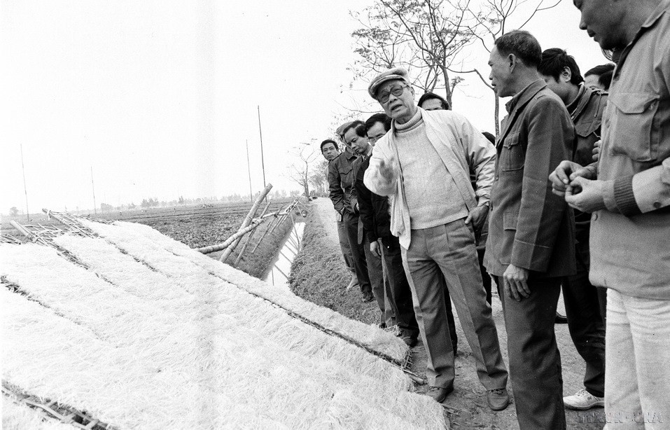 Chủ tịch Hội đồng Bộ trưởng Võ Văn Kiệt kiểm tra việc cấy lúa vụ chiêm xuân ở HTX Quế Dương, huyện Hoài Đức, tỉnh Hà Tây (1992). (Ảnh: Minh Đạo/TTXVN)