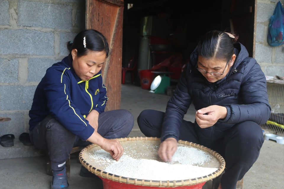 Pẻng Khua (bánh cười) được làm từ xôi nấu bằng gạo nếp cái (tiếng địa phương là khẩu nua moong). (Ảnh: Chu Hiệu/TTXVN)