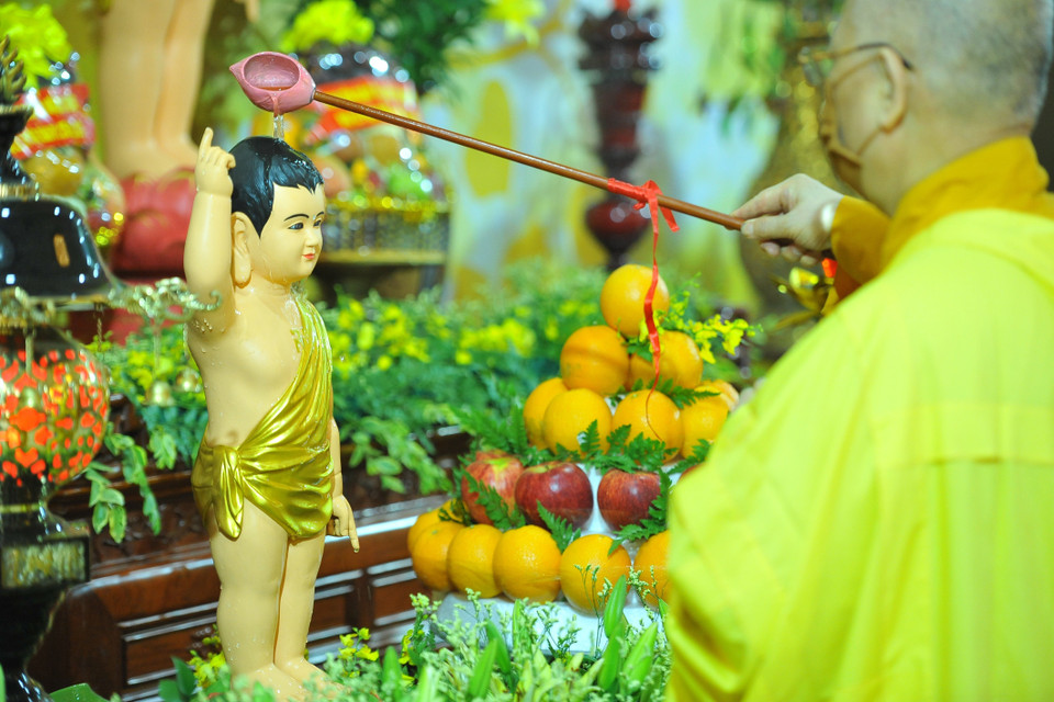 Các hòa thượng và chư tôn đức thực hiện nghi lễ tắm Phật đản sinh. (Ảnh: Minh Đức/TTXVN)