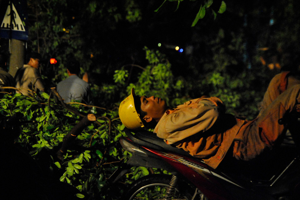 'Chợp mắt chút, chờ các đồng chí kia xén cây xong rồi ta vào việc.' (Ảnh: Võ Phương/Vietnam+)