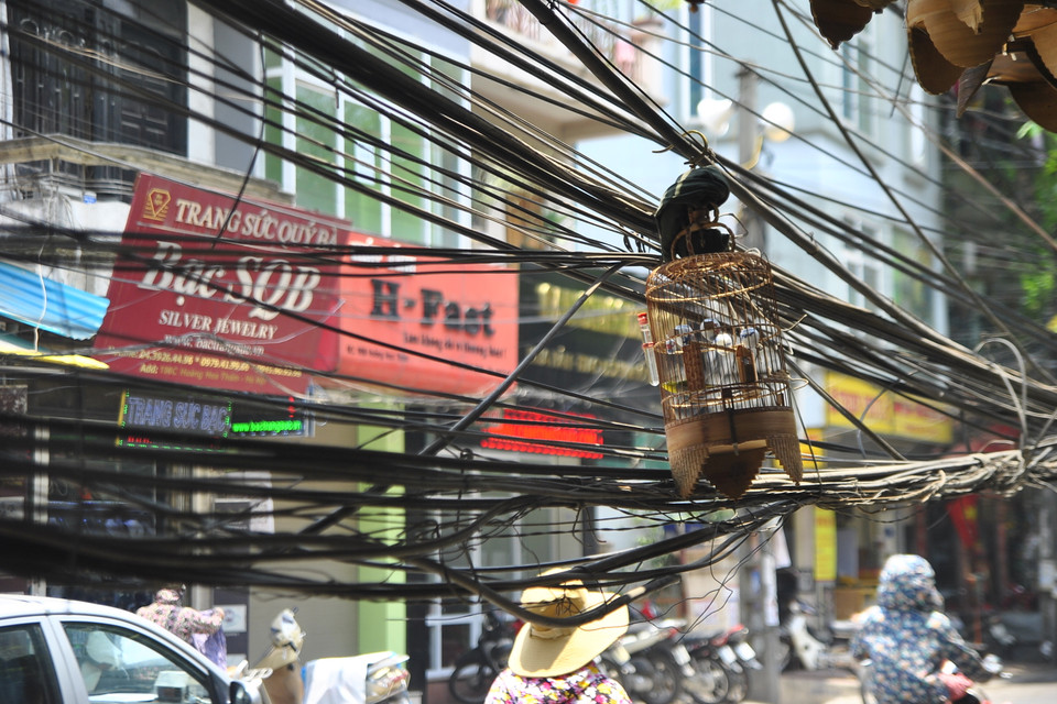 Thôi thì chẳng ai đến xử lý, thì đành tận dụng vậy. (Ảnh: Võ Phương/Vietnam+)