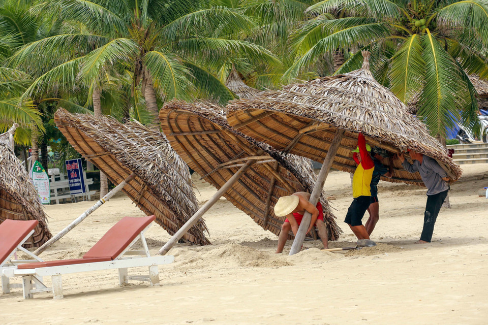 Các cơ sở kinh doanh dịch vụ trên bãi biển Đà Nẵng đang được tháo dỡ vận chuyển vào sâu đất liền tránh bão Noru. (Ảnh: Trần Lê Lâm/TTXVN)