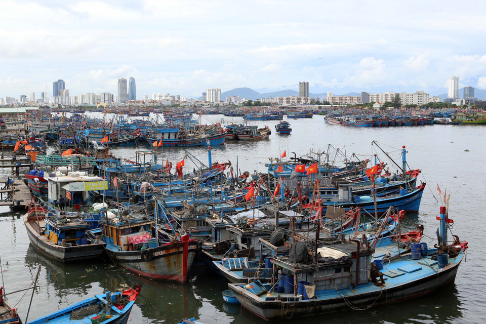 Tàu thuyền được sắp xếp đúng quy định để đảm bảo an toàn phòng chống bão Noru tại âu thuyền Thọ Quang, Đà Nẵng. (Ảnh: Trần Lê Lâm/TTXVN)