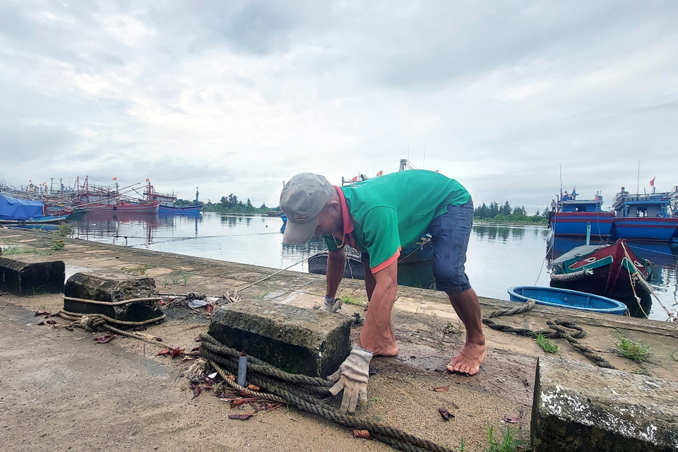 Còn lại 7 chiếc với 61 thuyền viên đang hoạt động trên vùng biển Quảng Trị. (Ảnh: Nguyên Lý/TTXVN)