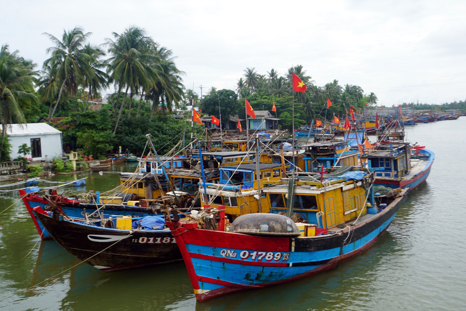 Để phòng tránh thiệt hại do bão Noru (bão số 4) gây ra, hiện nay, tàu, thuyền của tỉnh Quảng Nam đã được chính quyền và các lực lượng phối hợp cùng người dân đưa vào neo, đậu an toàn tại các khu tránh trú bão. (Ảnh: Trịnh Bang Nhiệm/TTXVN)