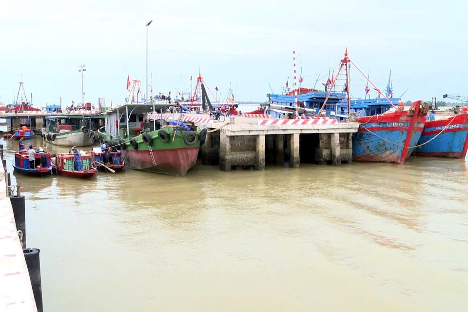 Đến tối 24/9, tại Nghệ An đã có 2.836 phương tiện tàu thuyền và 12.601 lao động tại Nghệ An đang đã vào neo đậu, tránh trú bão an toàn, không có phương tiện nằm trong khu vực nguy hiểm. (Ảnh: Tá Chuyên/TTXVN)