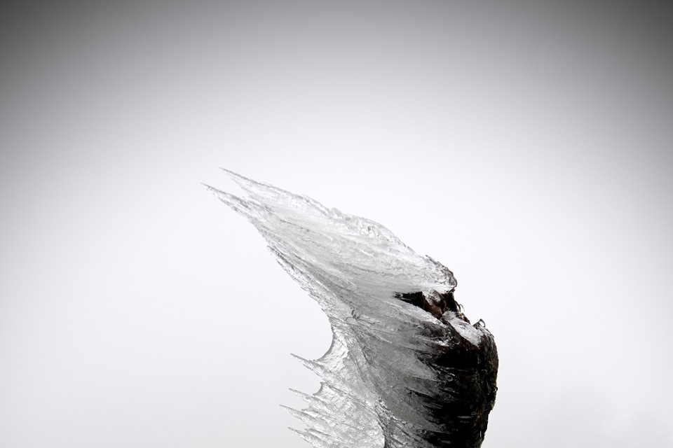 Một số hình ảnh sương muối, băng giá tại đỉnh đèo Khau Phạ. (Ảnh: Tuấn Anh-A Lù/TTXVN)