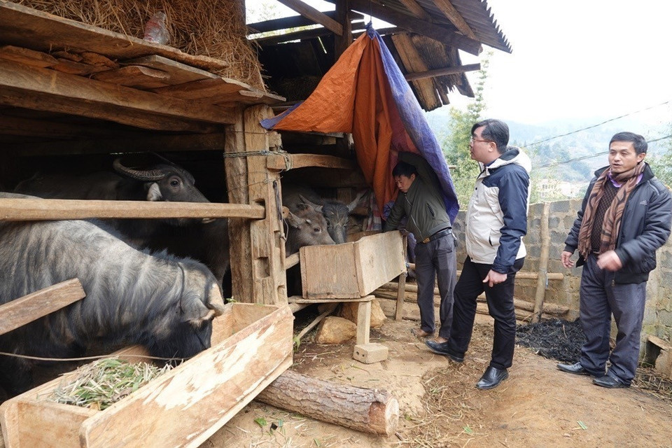  Lãnh đạo huyện Mù Cang Chải kiểm tra tình hình phòng chống rét tại cơ sở. Ả(Ảnh: Tuấn Anh-A Lù/TTXVN)