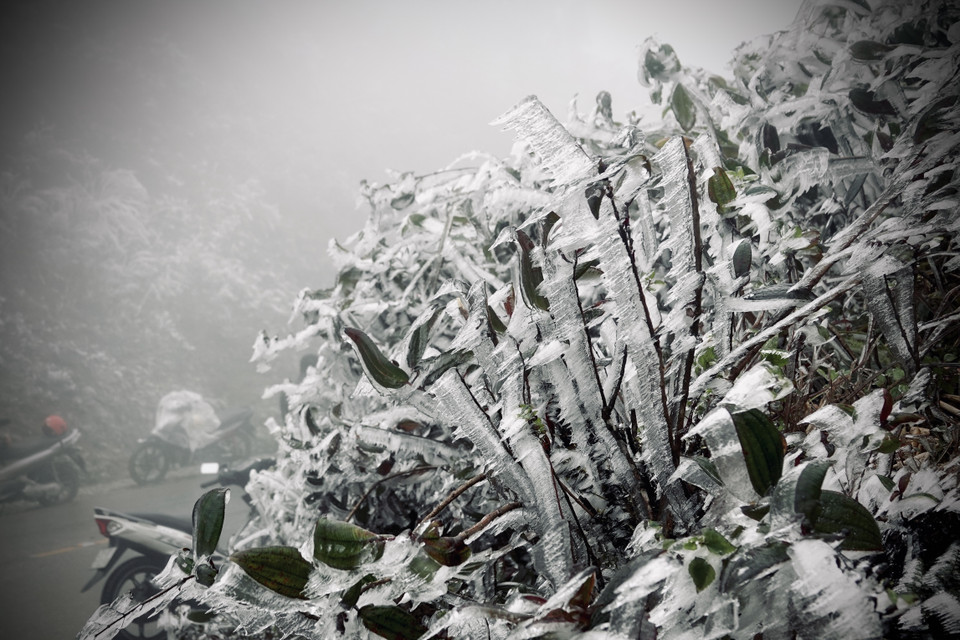 Một số hình ảnh sương muối, băng giá tại đỉnh đèo Khau Phạ. (Ảnh: Tuấn Anh-A Lù/TTXVN)