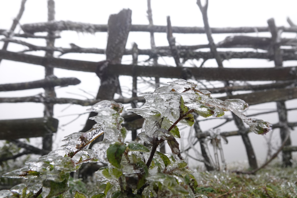 Một số hình ảnh sương muối, băng giá tại đỉnh đèo Khau Phạ. (Ảnh: Tuấn Anh-A Lù/TTXVN)