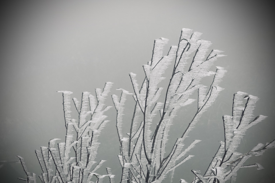 Một số hình ảnh sương muối, băng giá tại đỉnh đèo Khau Phạ. (Ảnh: Tuấn Anh-A Lù/TTXVN)