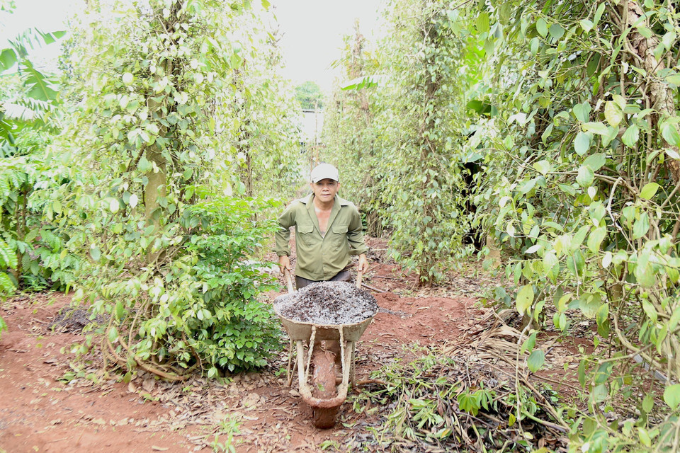 Người dân quay trở lại với cuộc sống thường nhật sau sự việc nhóm đối tượng dùng súng, dao tấn công trụ sở UBND xã Ea Tiêu và Ea Ktur, huyện Cư Kuin, tỉnh Đắk Lắk. (Ảnh: Quang Thái/TTXVN)