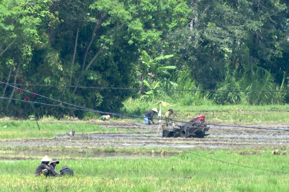 Người dân quay trở lại với cuộc sống thường nhật sau sự việc nhóm đối tượng dùng súng, dao tấn công trụ sở UBND xã Ea Tiêu và Ea Ktur, huyện Cư Kuin, tỉnh Đắk Lắk. (Ảnh: Quang Thái/TTXVN)