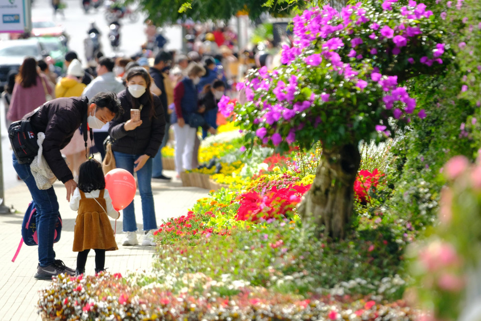 Một gia đình cùng đi thưởng lãm không gian hoa Đà Lạt trong sáng 18/12. (Ảnh: Nguyễn Dũng/TTXVN)