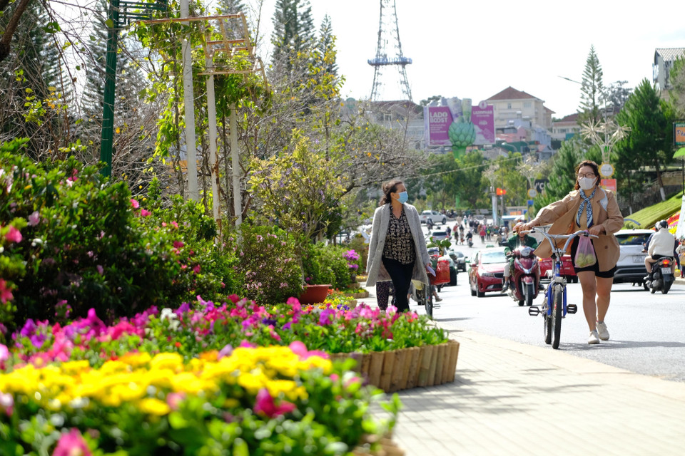 Không gian hoa trên đường Lê Đại Hành (ngay khu Hòa Bình, Đà Lạt) rực rỡ sắc hoa chào đón Festival hoa lần thứ 9. (Ảnh: Nguyễn Dũng/TTXVN)