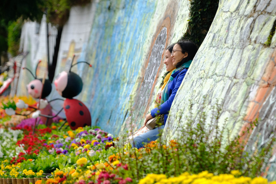 Du khách tạo dáng trên con đường hoa Lê Đại Hành. (Ảnh: Nguyễn Dũng/TTXVN)