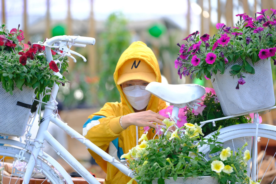 Cận kề ngày khai mạc, công tác chuẩn bị càng hối hả hơn. Trong ảnh là một công nhân tỉ mỉ trang trí chiếc xe đạp hoa bên không gian hoa ở hồ Xuân Hương. (Ảnh: Nguyễn Dũng/TTXVN)