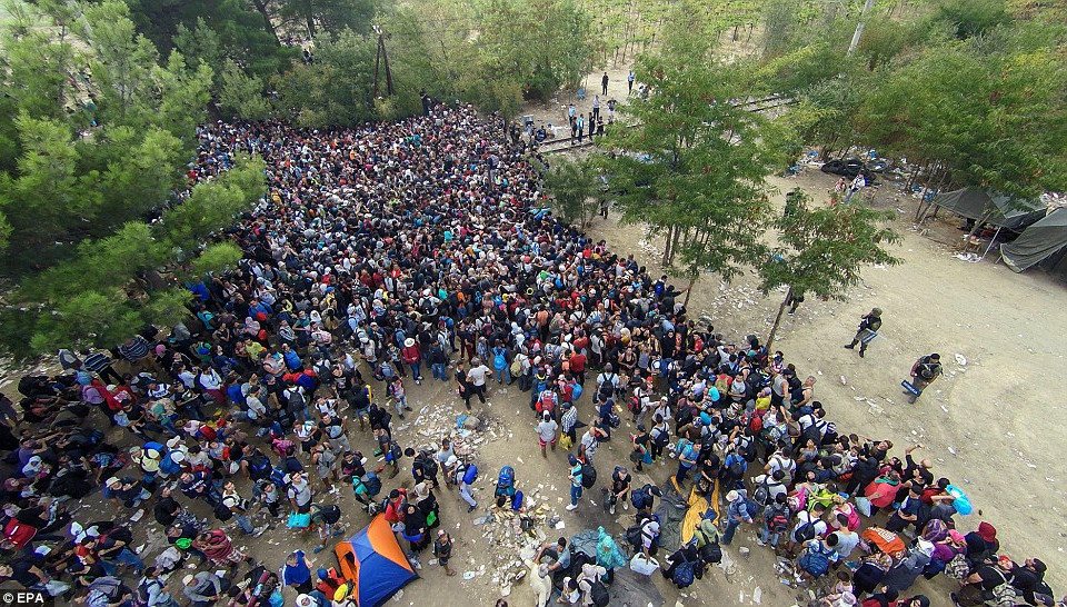 Những tuần gần đây, mỗi ngày có tới 1.500-2.000 người di cư từ Hy Lạp tràn qua biên giới Macedonia. (EPA)